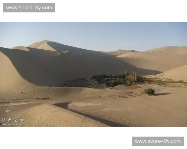 丝路狼烟与大漠雄鹰的巅峰对垒：乌兹别克斯坦vs沙特，谁才是亚洲足球的真王？